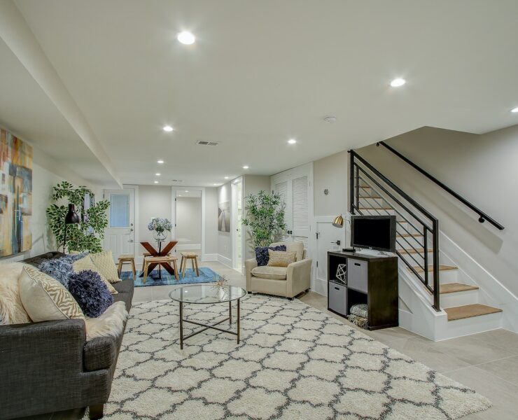 basement living room